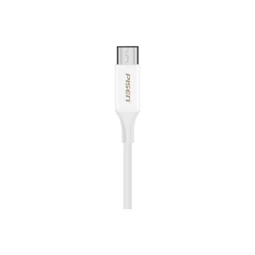 PISEN TC04-1000 1 Meter A To Type-C Anti-Bend Charging & Data Transfer 2-in-1 Compatibility With Android & Apple Cables