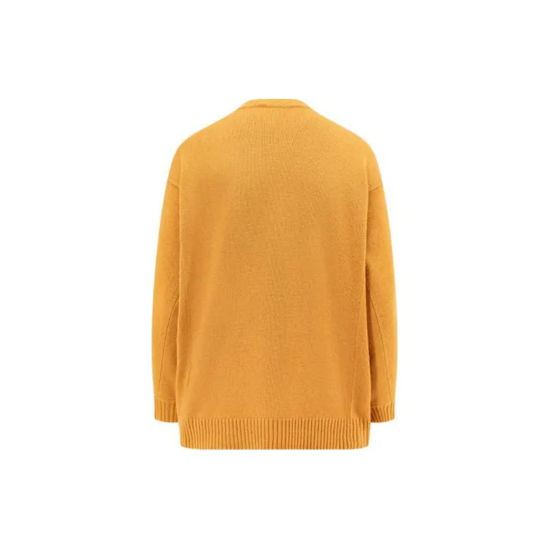MaxMara Fido Crewneck Long Sleeved Jumper-1