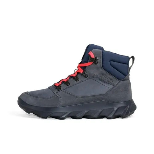 Ecco Ankle Boots Men Blue