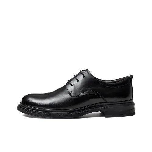 CAMEL Dress Shoes Men Low-Top