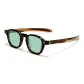 Tortoiseshell Frame with Grass Green Lens