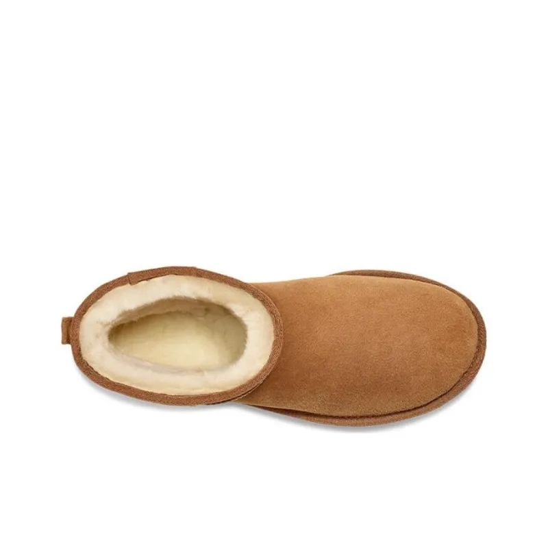 UGG Classic Mini Boot Chestnut-4