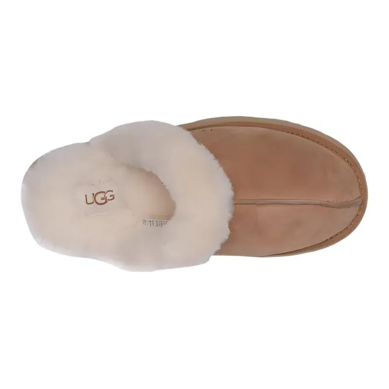 UGG Slippers / Home Slippers-2