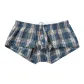 Blue Plaid