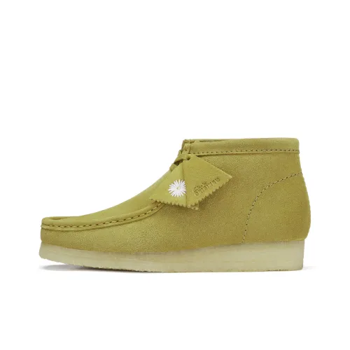 Clarks Ankle Boots Men