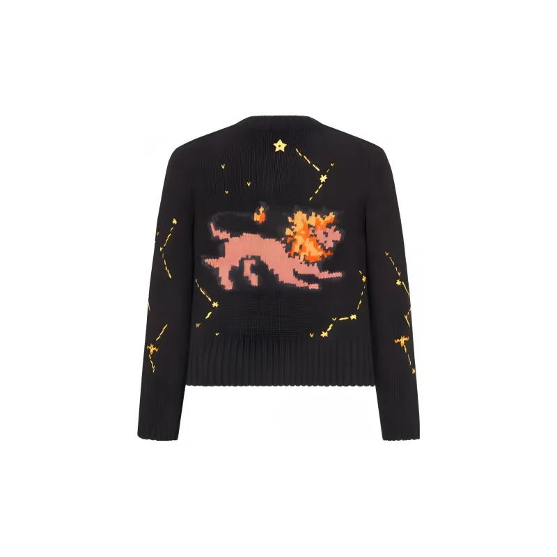 DIOR FW22 Sweater Women's Black-1