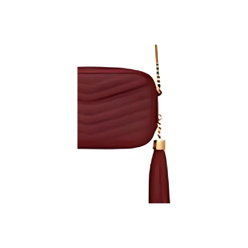 SAINT LAURENT Leather Shoulder Bag, Crossbody Bag Mini Women's Vibrant Red-4