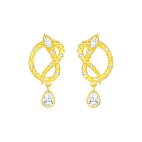 DESIGN CIRCLES S925 Silver Earrings Women's