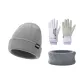 Gray Hats & Caps+Purple Glove+Gray Scarf