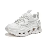 Silver White