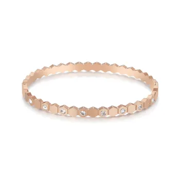 DH7 Titanium Steel Bangles Unisex
