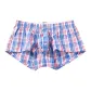 Blue Plaid