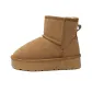 Chestnut[Platform Crew]XDX2376
