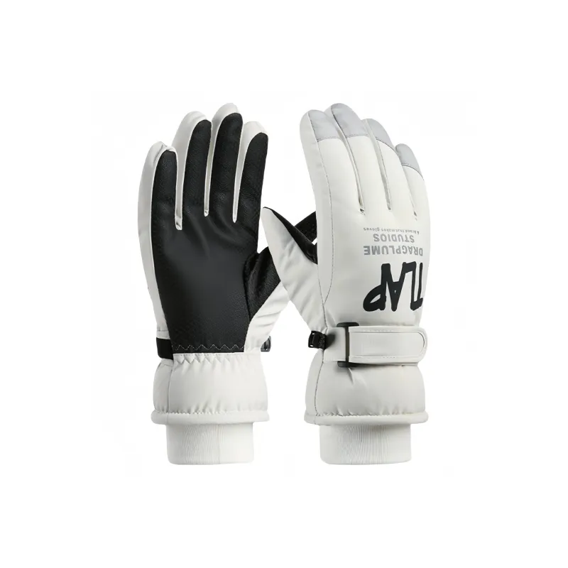 Great Connoisseur Ski Gloves Gloves Women's-1