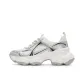 Cool Silver White