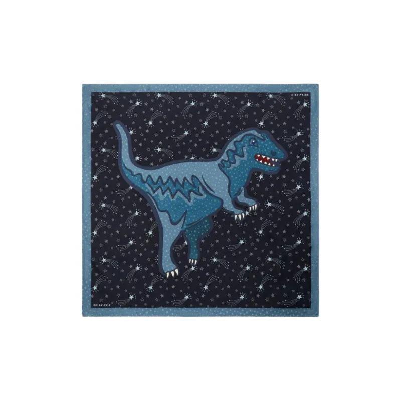 COACH Mulberry Silk Scarves Unisex Black/Ocean Blue-1