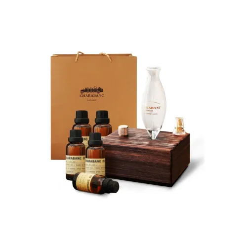 Charabanc Indoor Fragrance Diffuser Pure Essential Oil Cold Air Diffuser Fragrance Extender Aromatherapy Accessory