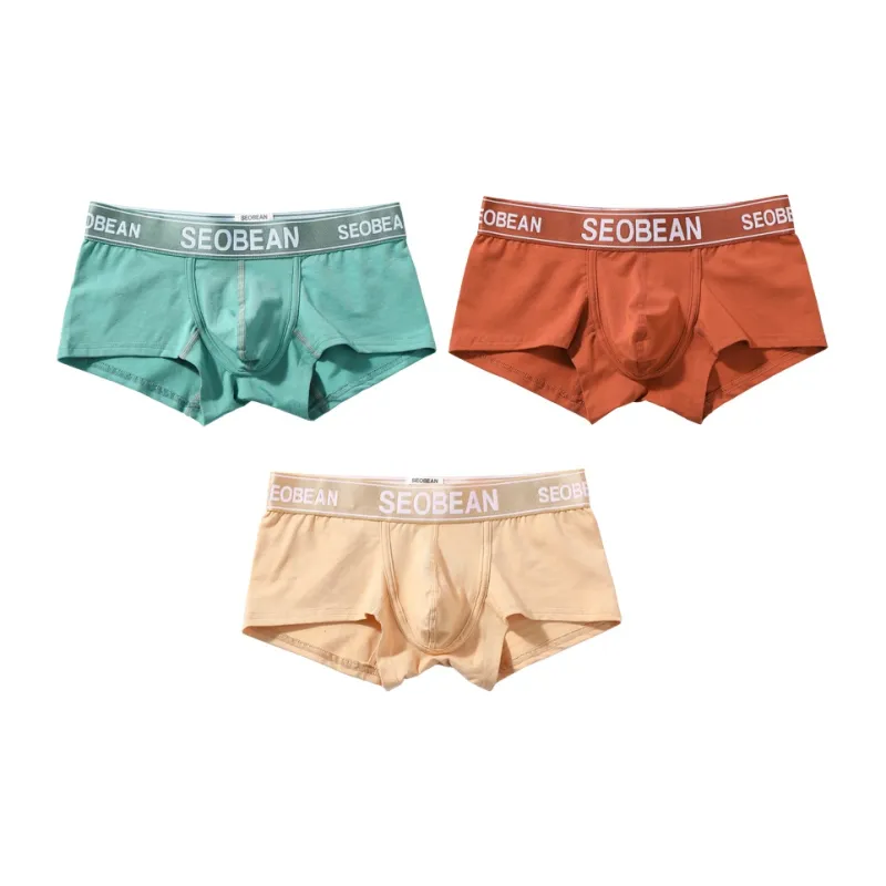 SEOBEAN Underpants Men's Combo Set-2