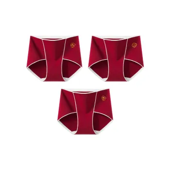Ordifen Underpants Women's 3 Pack