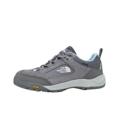 THE NORTH FACE Tracker Anti Slip Wear Resistant Low Top Hiking Shoes Men's Gray Blue White