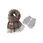 Scarf+Gray Thermal Glove