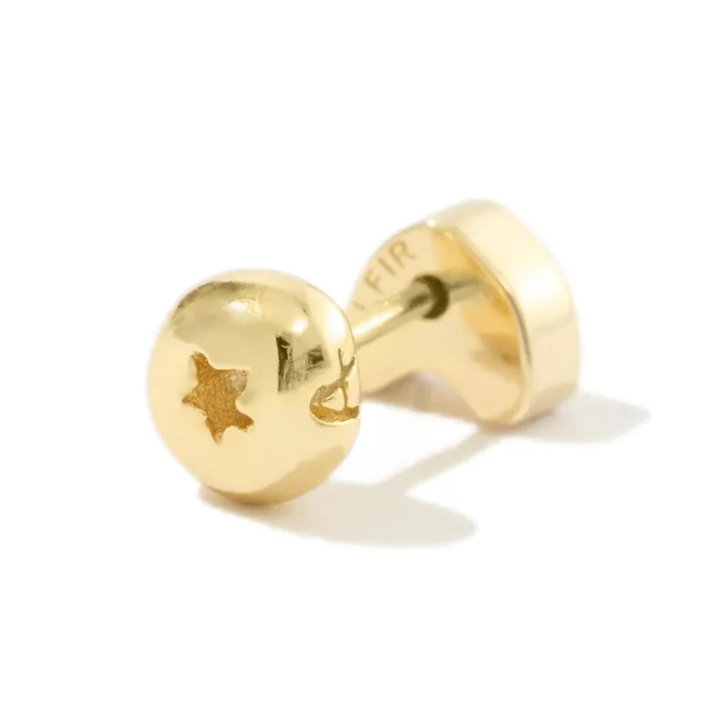 ALFIR Single Fruit Stud Earrings Unisex-6