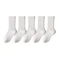 White 5 Pack