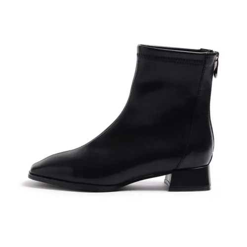 STEVE MADDEN Ankle Boots Women's Black/Ecru
