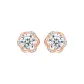 Silver 925-Rose Stud Earrings
