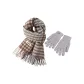 Scarf+Gray Thermal Glove
