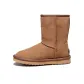 Chestnut