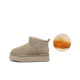 Apricot