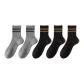 Light Gray 2+Black 3