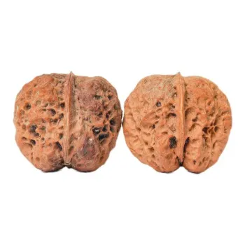 Xihe Core Creation Walnut Fine Handicraft Collectible Unisex