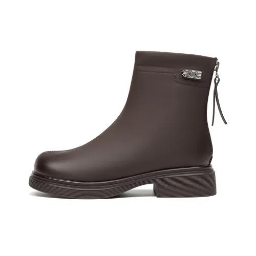 Spider King Ankle Boots Women's Brown