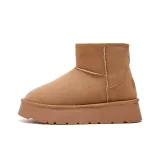 Camel