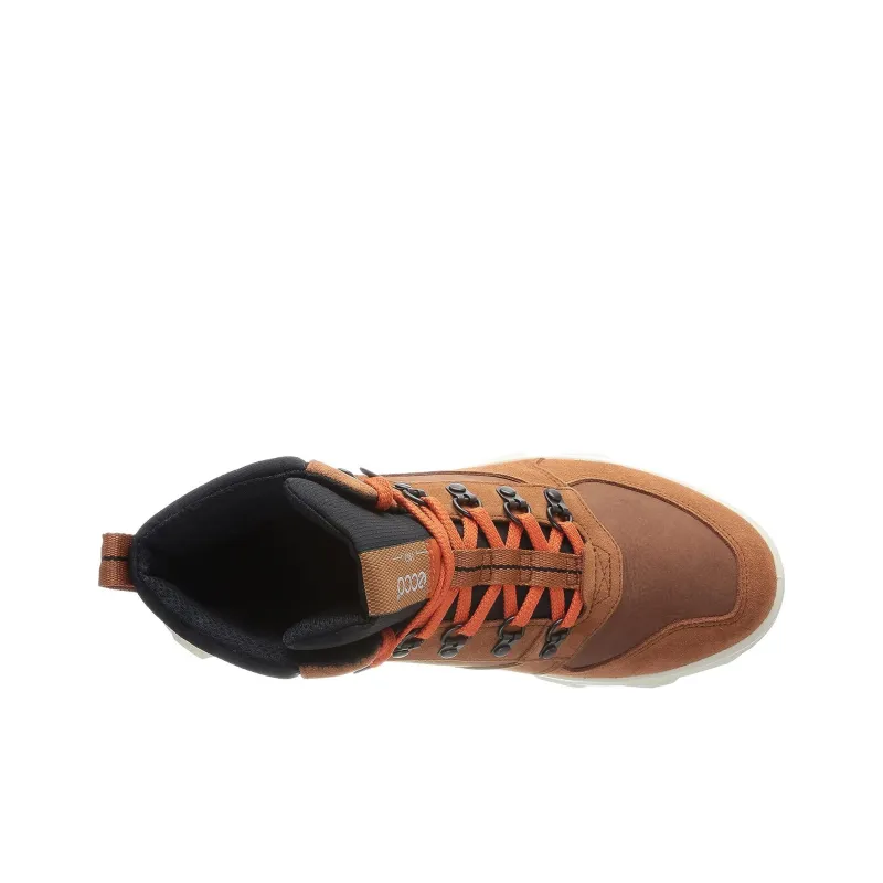 Ecco Short Outdoor Boots Men's Brown-2