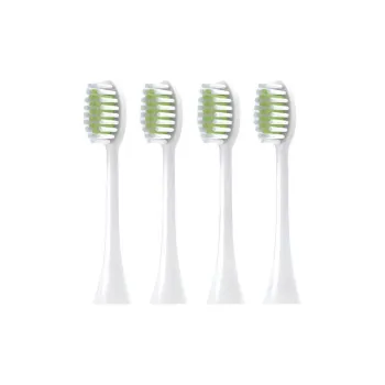 Fly Toothbrush Heads