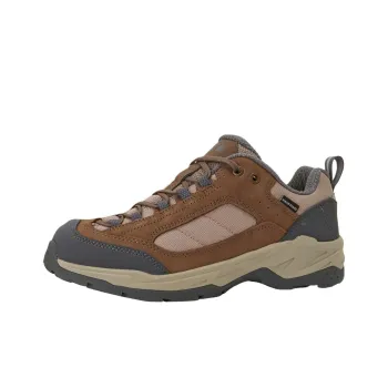 THE NORTH FACE STORMBREAK WG Anti Slip Wear Resistant Low Top Hiking Shoes Men's Brown