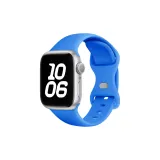 Blue/Butterfly Clasp Silicone