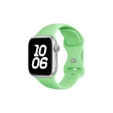 Pistachio/Butterfly Clasp Silicone