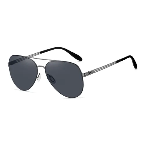 HLA Stainless Steel Aviator Sunglasses Men's