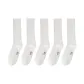White[5 Pack]