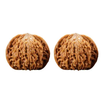 DALONG Text Plays Walnuts Collectible Unisex