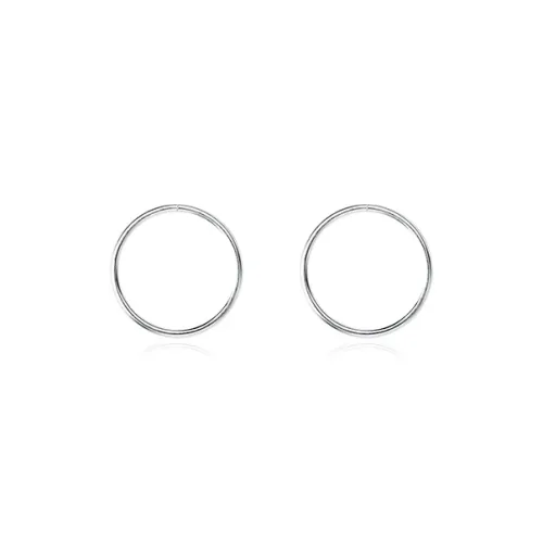 DTOTO S999 Fine Silver Earrings Unisex