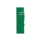 Bamboo Green
