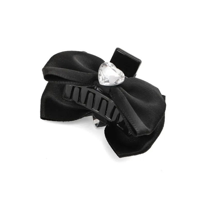 ZANC Hair Clips Women's-1