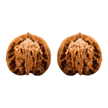 DALONG Text Plays Walnuts Collectible Unisex