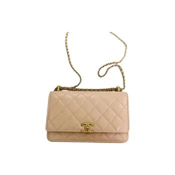 CHANEL WOC Calfskin Wallet On Chain, Coin Purse, Shoulder Bag, Crossbody Bag Women's Pink