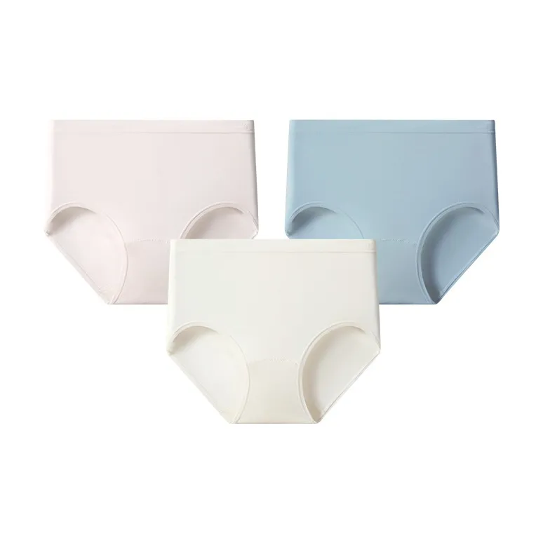 Mushroom Lady's House Underpants Women's 3 Pack-12